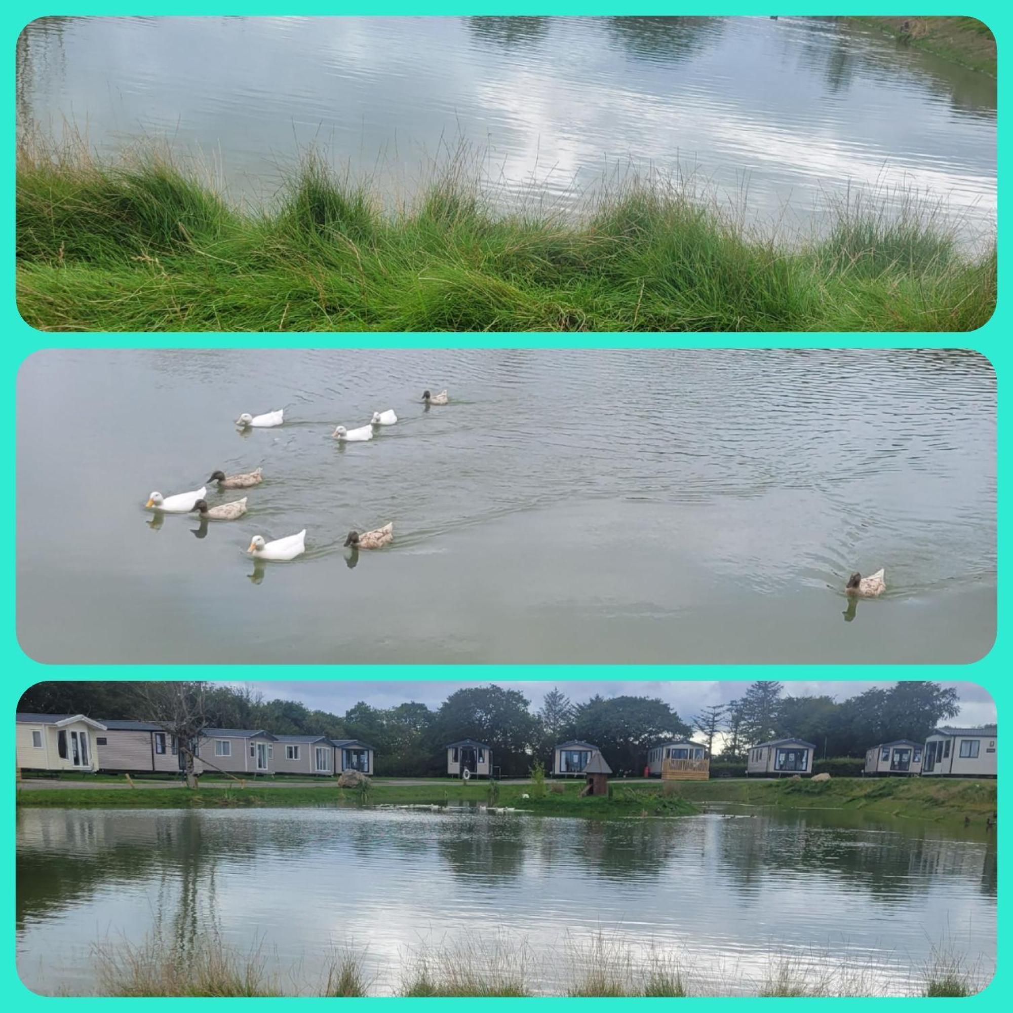 Beautiful 2 Bedroom Caravan, Holiday Park Tenby Saint Florence Zewnętrze zdjęcie